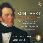Schubert: Symphonies Nos. 8 & 9 artwork