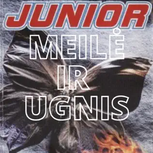 Album herunterladen Junior - Meilė Ir Ugnis