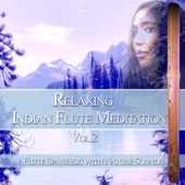 Relaxing Indian Flute Meditation Vol. 2: Flute Spa Music with Nature Sounds artwork