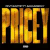 Pricey (feat. Bad Azz Becky) - Single album lyrics, reviews, download