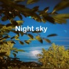 Night Sky, 2022