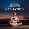 Chansons de méditation: Relaxation apaisante, Yoga, Massage de guérison, Sommeil et étude des chakras