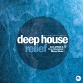 Deep House Relief, Vol. 5 artwork