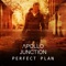 Perfect Plan artwork