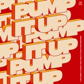 Pump It Up (feat. The Black and White Brothers) artwork