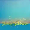 Shooting Underwater Ambient album lyrics, reviews, download