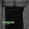 Stream & download Seagoat - Single