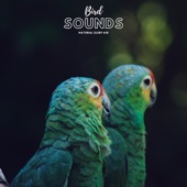Bird Sounds Natural Sleep Aid - EP artwork
