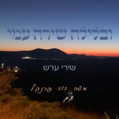 חלומות פז artwork