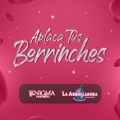 Aplaca Tus Berrinches artwork