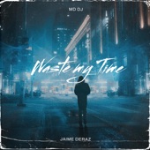 Waste My Time (feat. Jaime Deraz) [Radio Edit] artwork