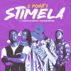 Stimela (feat. Ntate Stunna & Nthabi Sings) - Single