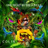 One Night In the Jungle artwork