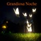 Grandiosa Noche artwork