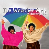The Weather Girls - It's Raining Men (Single Version)