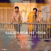 Kaalathukkum Nee Venum (From "Vendhu Thanindhathu Kaadu") artwork