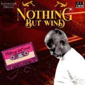 Nothing But Wind (Original Background Score) artwork