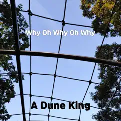 Why Oh Why Oh Why - Single by A Dune King album reviews, ratings, credits