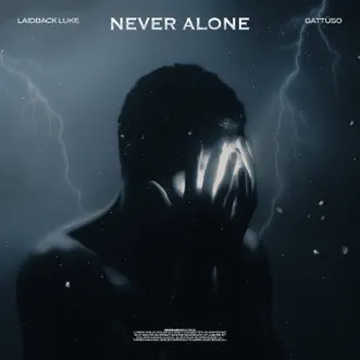 Never Alone - Single by Laidback Luke & GATTÜSO album reviews, ratings, credits