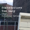Too Many (feat. Christine Corless) - Snakedoctors