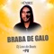 Braba de Galo (feat. Dj Loss do Beats) - DJ Cabide & MC PV lyrics