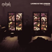 Living is the Lesson artwork