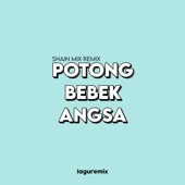 DJ Potong Bebek Angsa (Thailand Style Remix) artwork