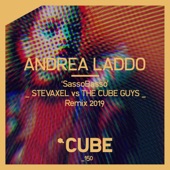 Sassobasso (StevAxel vs the Cube Guys Remix 2019) artwork
