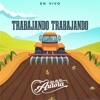 Trabajando Trabajando (En Vivo) - Single