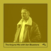 The Anjuna Mix with ilan Bluestone (DJ Mix) artwork