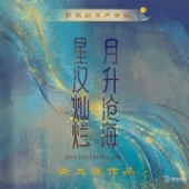 《星漢燦爛 月生滄海》影視劇原聲音樂 (關大洲作品) artwork