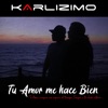 Tu Amor me Hace Bien - Single