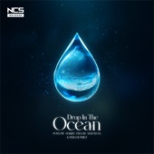 Drop in the Ocean (feat. India Dupriez) artwork