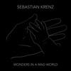 Wonders In a Mad World - Single