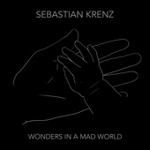 Wonders In a Mad World artwork