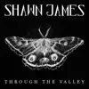 Stream & download Through the Valley - Single