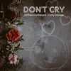 Stream & download Don't Cry - Single