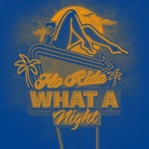 Flo Rida & Tom Martin - What A Night (Tailgate Turn Up) - 排舞 音乐
