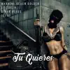 Stream & download Tu Quieres (feat. Dimer Blees, el dogor & jei vi)