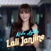 Lali Janjine (Remix) - Single