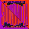 Sound Killa, Pt. 2 (feat. Shy FX) - Single album lyrics, reviews, download