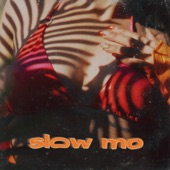 SLOW MO artwork