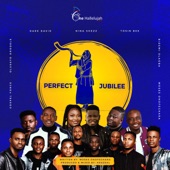 Perfect Jubilee (feat. Gospel Force, Olusayo Orodele, nina shezz, Bidemi Olaoba & Tosin Bee) artwork