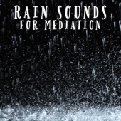 Nature Recordings - Rainstorm Relaxation