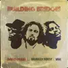 Building Bridges (feat. Brinsley Forde & Var) - Single album lyrics, reviews, download