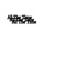 All the Time - The Skunks lyrics