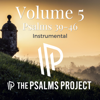 Psalm 39 (Orchestral Instrumental Version) - The Psalms Project
