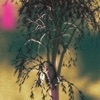 The Flame - Single