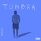 Tundra (feat. DJ YOUNG MIKE) - Brady J lyrics