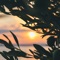 Aruba - Jeff Kaale lyrics